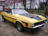 Ford Mustang Kabrio 008